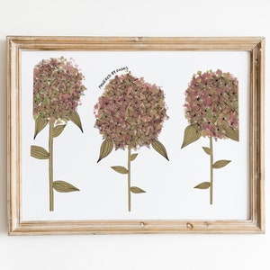 Pink Hydrangea Wall Print, Hydrangea Digital Download, Floral Wall Art, Floral Drawing Printable Art, Three Hydrangeas Wall Art, Hydrangeas