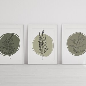 K&ouml;nnte beinhalten: Set aus drei minimalistischen botanischen Drucken mit Strichzeichnungen von Farnen, Lavendel und Eukalyptusbl&auml;ttern in einem Kreis auf gr&uuml;nem Hintergrund.
