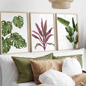 Set of 3 Tropical Leaf Prints, Botanical Monstera Leaves Wall Art, Modern Abstract House Plant Prints, Banana Leaf Poster, Living Room Decor