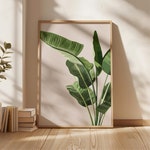 Tropical Art Prints