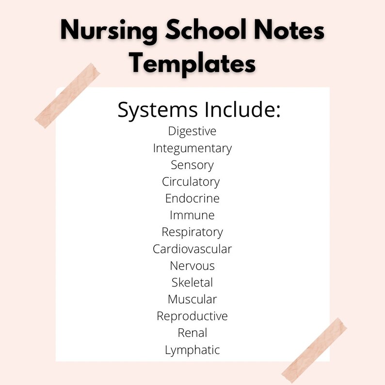 BUNDLE Nursing School Notes Study Templates Package 1, Body Systems