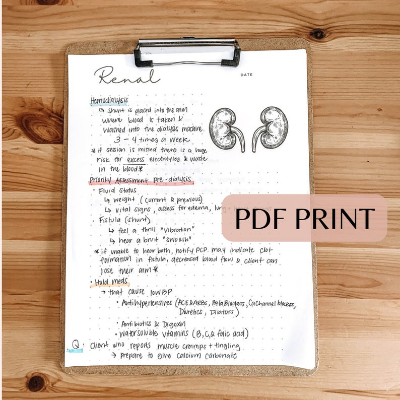 BUNDLE Nursing School Notes Study Templates Package 1, Body Systems