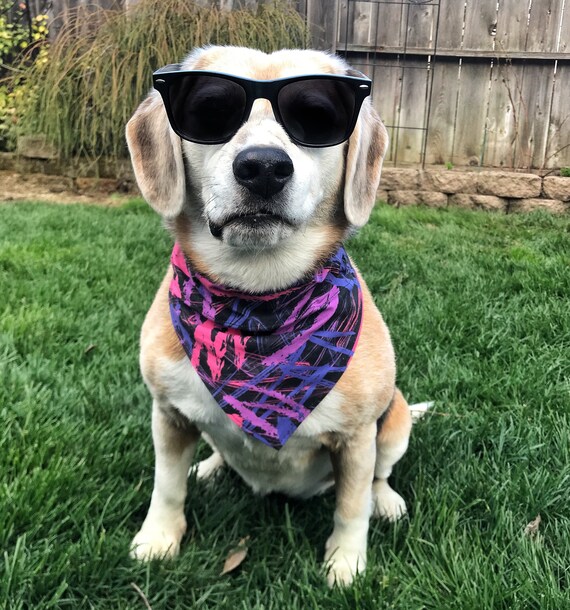 louisville cardinals dog bandana