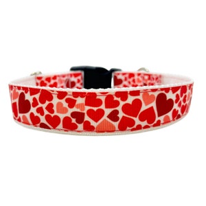 Last One! Size Medium - Valentines Hearts Dog Collar, Love Dog Collar, Red Dog Collar, Pretty Dog Collar