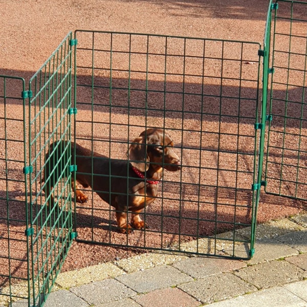 Folding Dog Fence - 60cm High (50mm x 50mm Mesh) Ideal for Puppy/Small Dogs