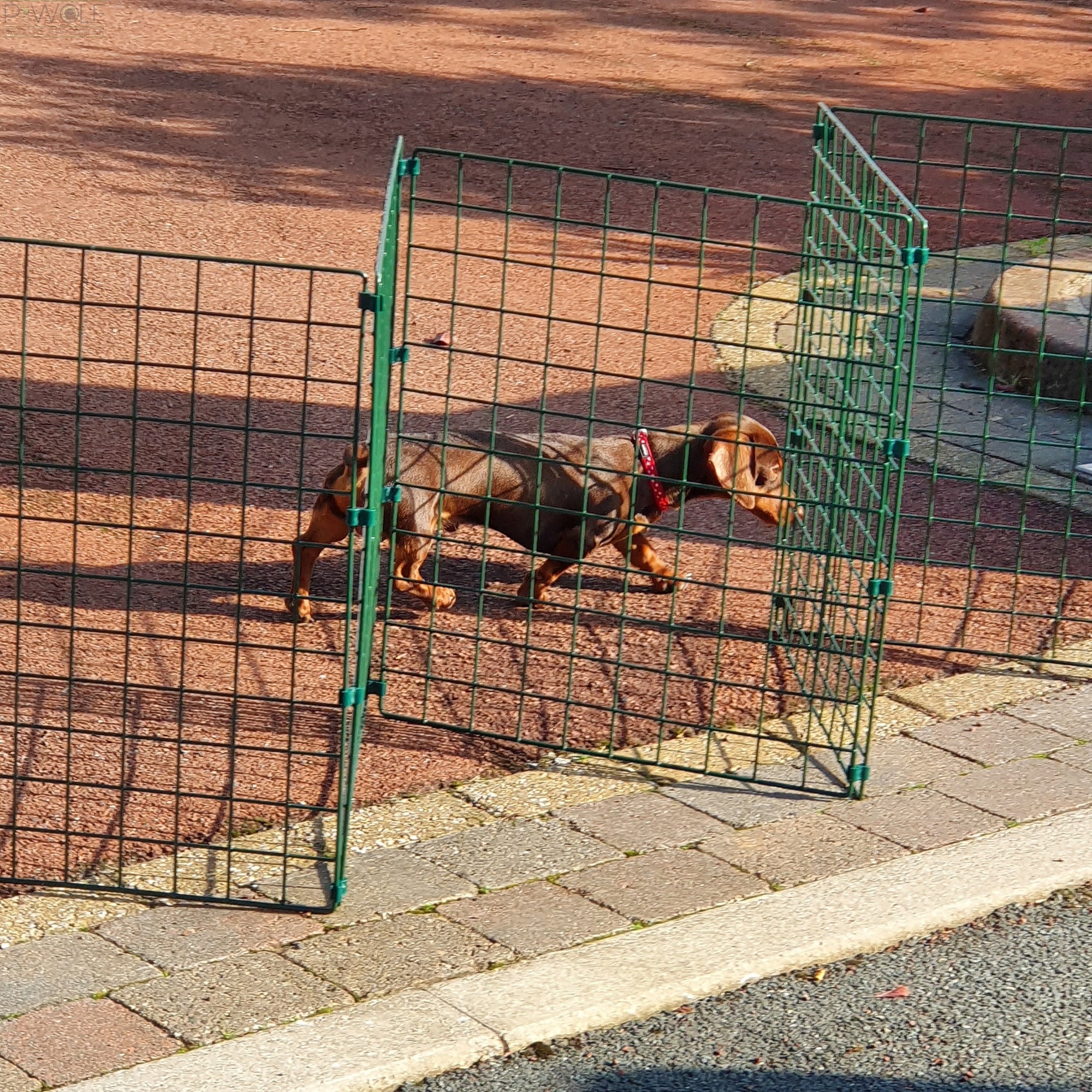  Valla para perros, cerca para mascotas, forma de marco de tubo  cuadrado galvanizado que se puede cambiar a voluntad, protección de  seguridad, dos colores opcionales (tamaño: 63.0 x 31.5 x 31.5