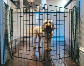 Stop dog crate clearance rattling