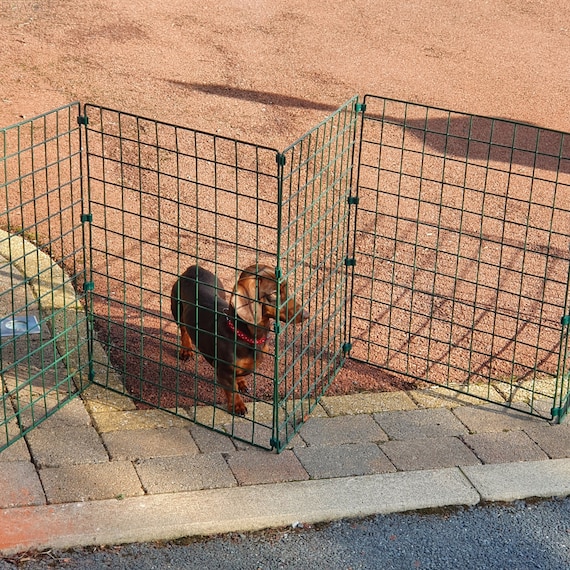 Cercado para perros