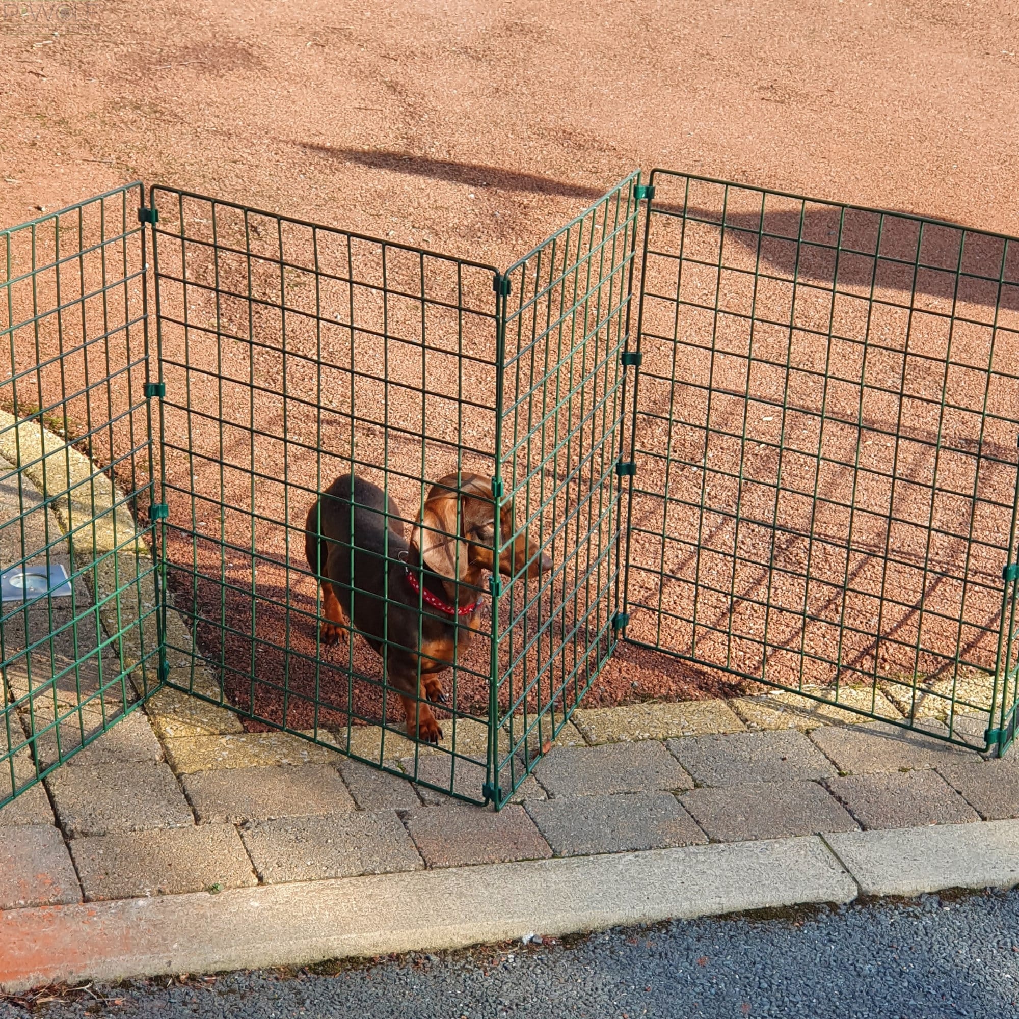  Valla para perros, cerca para mascotas, forma de marco de tubo  cuadrado galvanizado que se puede cambiar a voluntad, protección de  seguridad, dos colores opcionales (tamaño: 63.0 x 31.5 x 31.5