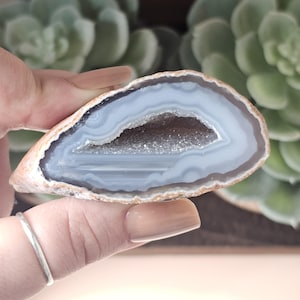 May include: A polished, oval-shaped agate geode, showcasing a light blue and gray banded pattern. The center reveals a sparkling, crystalline cavity. The outer edge has a rough, tan-colored exterior. The geode is held in a hand, with a succulent plant in the background.