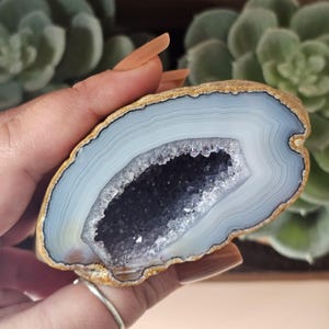 May include: A polished geode, featuring a light blue and white banded exterior. The interior reveals a cavity filled with dark purple crystals. The geode is held in a hand, highlighting its natural beauty and unique crystalline structure.