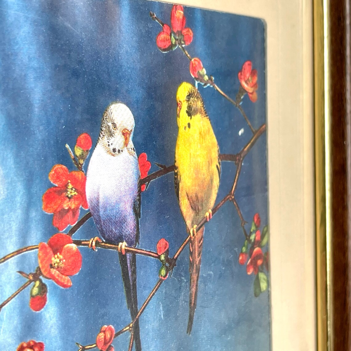 Vintage Framed Foil Art Print of Parakeet Birds by F. Osborne Etsy