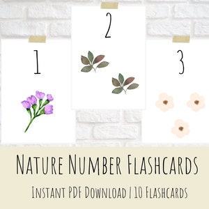 Nature Number Flashcards| Number Cards| 1-10| Montessori Homeschool Printable Resource| Preschool| Toddler Flashcards| Busy Books
