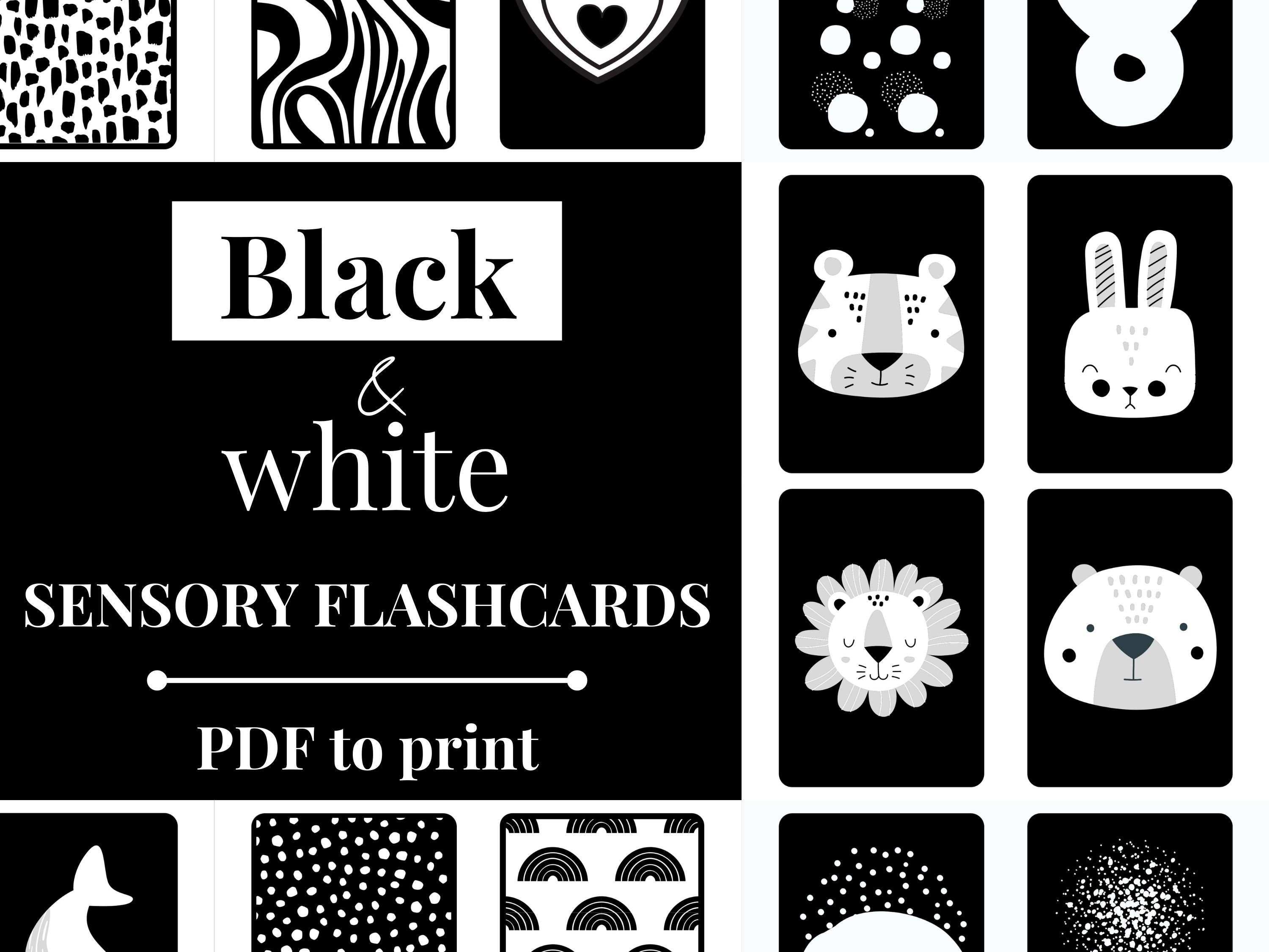 Black and White Flashcards, Sensory Black and White Cards, Printable