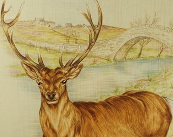 Original watercolour, 'Study of a Stag', Circa 1980's, Artist Unknown