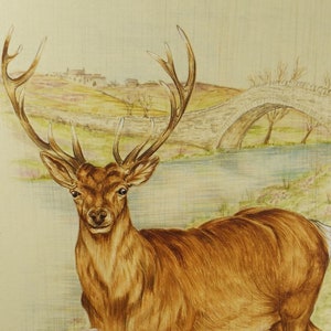 Original watercolour, 'Study of a Stag', Circa 1980's, Artist Unknown image 1