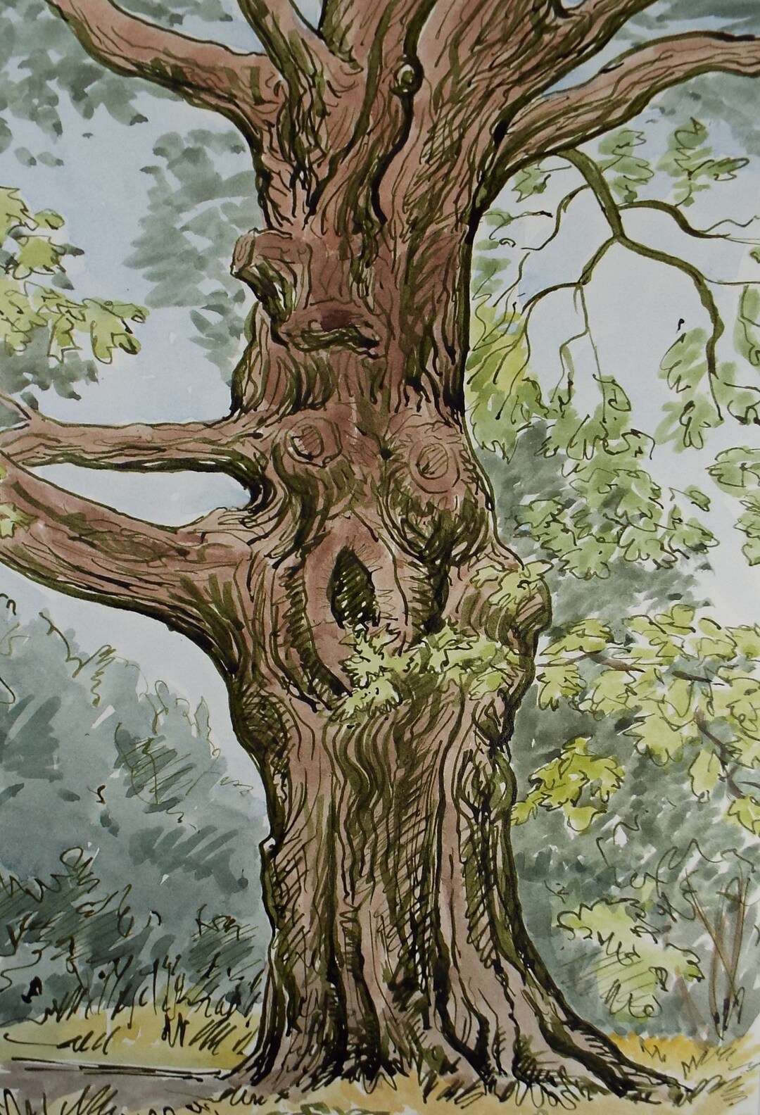 Original Watercolour, 'tree Study', George Godfrey, Dated 1959 - Etsy