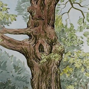 May include: A watercolour painting of a large, gnarled tree with a thick trunk and branches. The tree is depicted in shades of brown, green, and grey, with a textured bark and leaves.