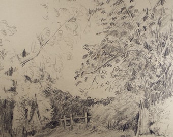 Original Pencil, 'Woodland Boundary', Circa 1940's , Frank Harold Read FRPS (1881-1960)