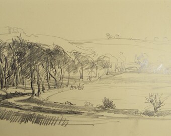 Original Pencil Drawing, 'Tree lined lane'', Circa 1920's, Nan C. Livingstone (1876-1952)