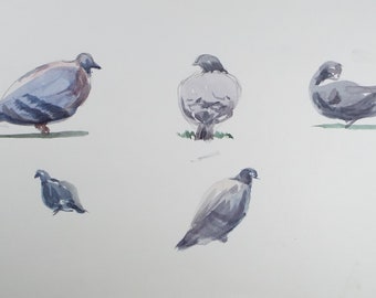 Original Watercolour, 'Study of Pigeons', George Godfrey, circa 1970's