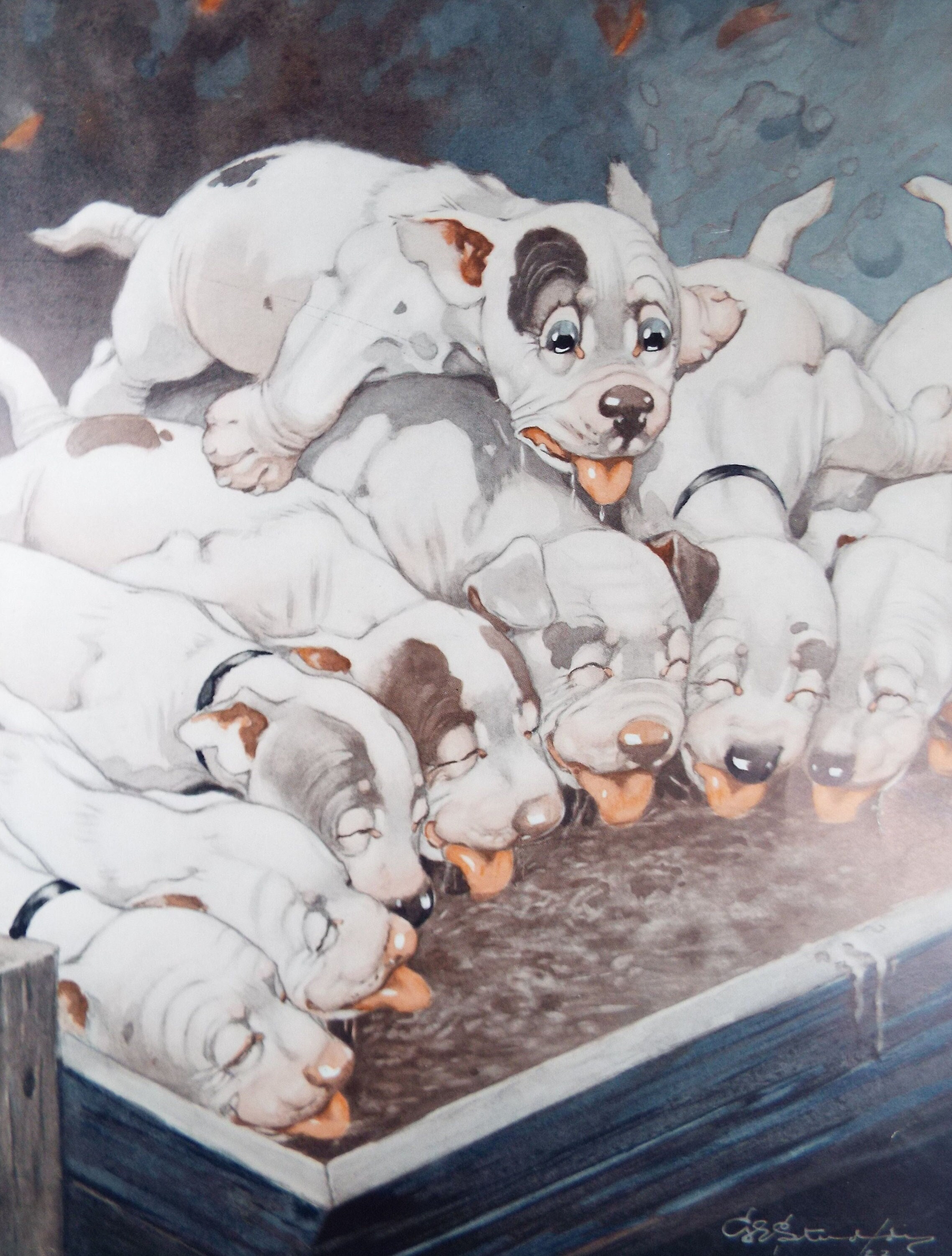 Bonzo the Dog Print: Vintage 1920s G.E. Studdy 'the Sketch