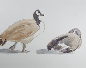 Original Watercolour, 'Study Canada Geese', George Godfrey, circa 1970's