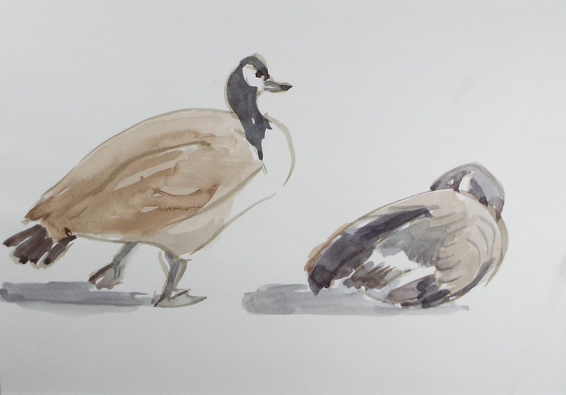 Original Watercolour, 'Study Canada Geese', George Godfrey, circa 1970's zdjęcie 1