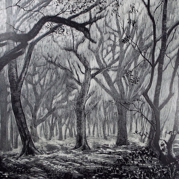 Original Etching on Scraperboard 'Enchanted Woodland' , Michael A. Bussey, circa 1960's