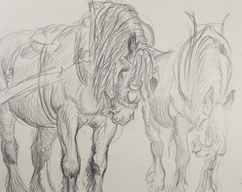 Original Pencil Sketch,'Study of Heavy horses', Helen Collins (1921-1990), circa 1938/9