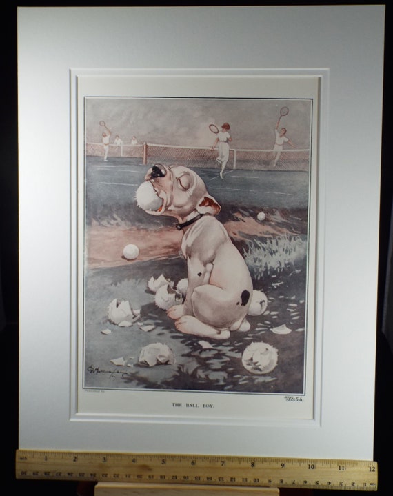 Bonzo the Dog - G. E Studdy, 'the Ball Boy', Vintage 1920's