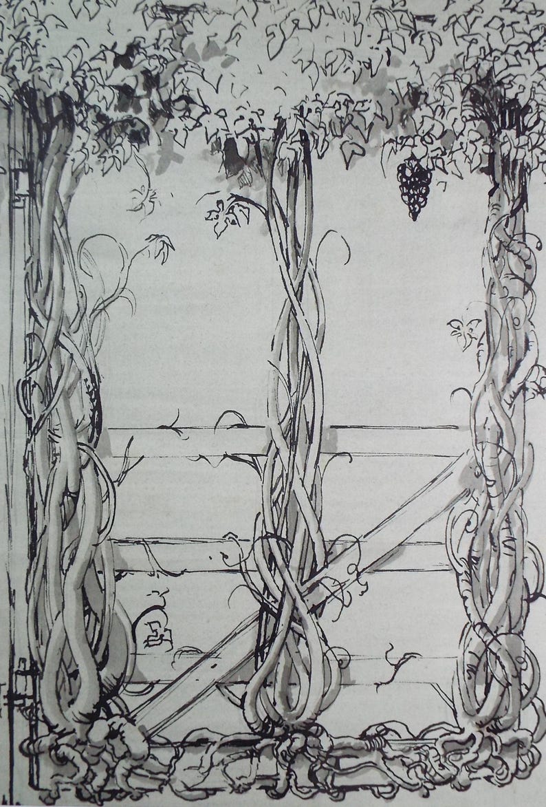 Original Pen & Ink Drawing, 'winding Grape Vines', Dated 1959, Artist ...