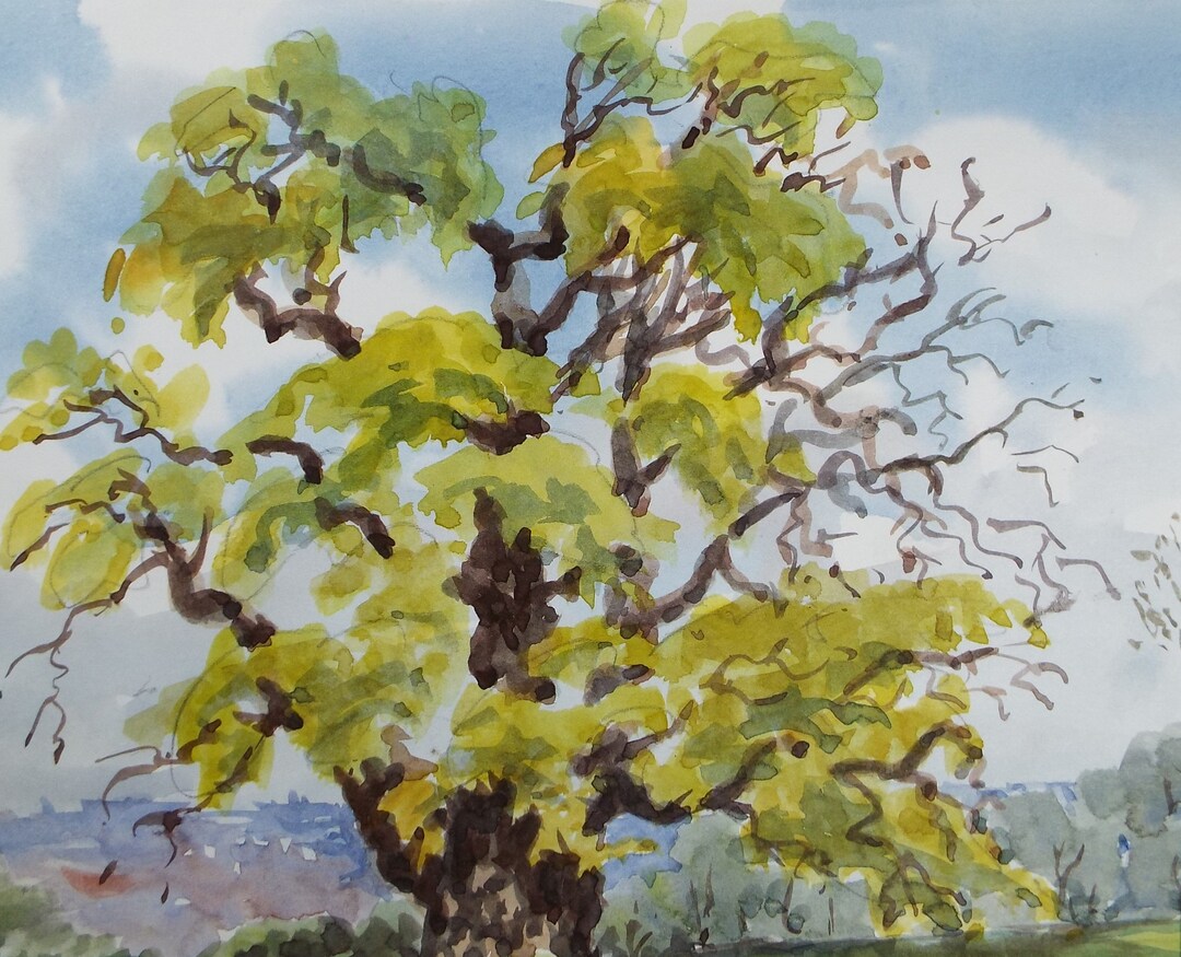 Original Watercolour, ' Tree Study', George Godfrey, Circa 1970's - Etsy