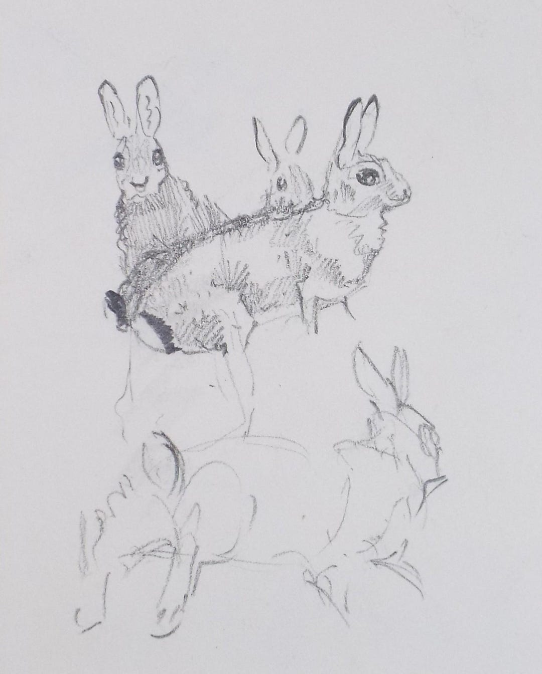 Original Pencil Sketch, 'rabit Study', Michael Lyne (1912-1989), Mid ...