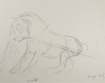 Original Pencil Sketch,'Study of a Heavy horse', Helen Collins (1921-1990), circa 1938/9