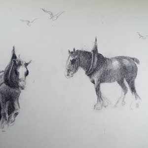 Original Pencil Drawing, &#39;Study of Heavy Horses&#39;, Circa 1920&#39;s, Nan C. Livingstone (1876-1952)