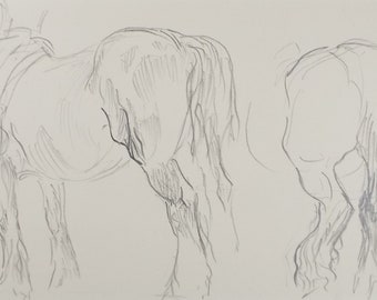 Original Pencil Sketch,'Study of a Heavy Horse', Helen Collins (1921-1990), circa 1938/9