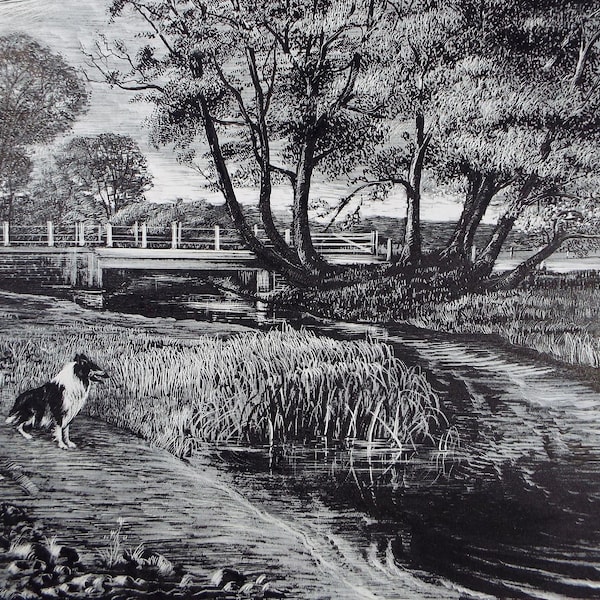 Original Etching on Scraperboard 'River Landscape with Border Collie', Michael A. Bussey, circa 1960's