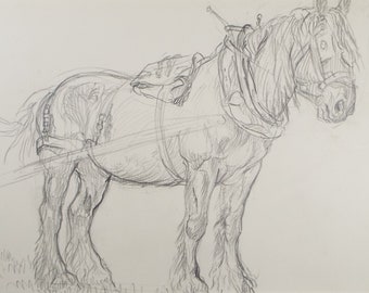 Original Pencil Sketch,'Study of a Heavy horse', Helen Collins (1921-1990), circa 1938/9