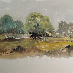 May include: Watercolor painting of a landscape with a group of trees in the foreground and a cloudy sky in the background. The trees are painted in shades of green and brown, and the sky is painted in shades of gray and white.