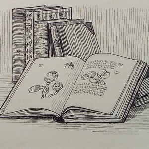 May include: A black and white illustration of books and an open book with botanical drawings. The open book displays detailed sketches of seed pods and other plant life. Several other books are stacked behind and to the side of the open book.