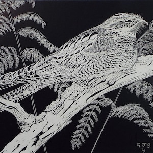 以下が含まれることがあります： 木に止まっている鳥の白黒のイラスト。鳥は複雑な羽の模様があり、葉に囲まれています。作品は右下に「GJB 76」と署名されています。自然をテーマにしたアート作品です。