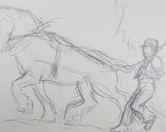 Original Pencil Sketch,'Study of a Heavy horse', Helen Collins (1921-1990), circa 1938/9