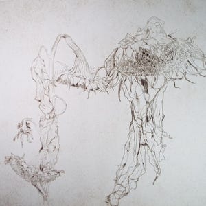Op de afbeelding: Een gedetailleerde pen- en inkttekening van zonnebloemen in verschillende levensstadia. De afbeelding toont een grote, volwassen zonnebloem met afhangende bloemblaadjes en een kleinere, jongere zonnebloem. Het kunstwerk is uitgevoerd in bruin- en beigetinten.