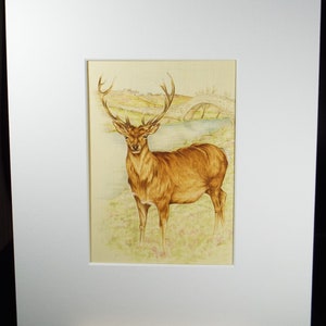 Original watercolour, 'Study of a Stag', Circa 1980's, Artist Unknown image 2