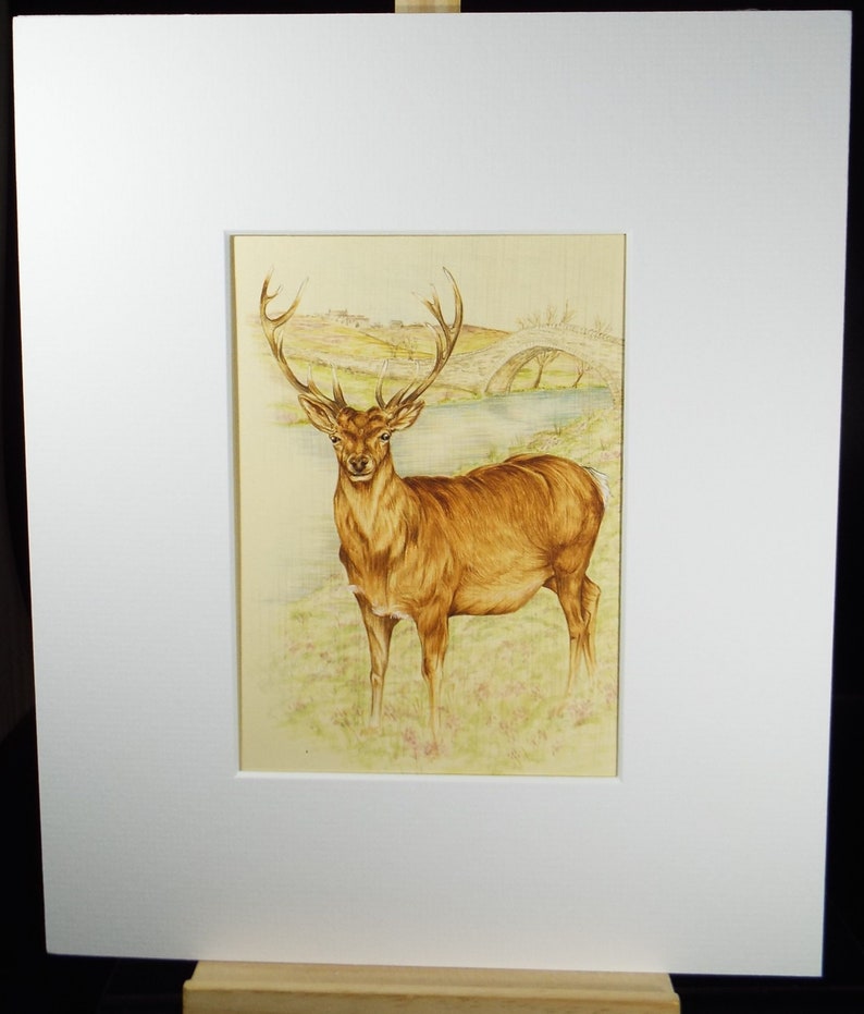 Original watercolour, 'Study of a Stag', Circa 1980's, Artist Unknown image 2