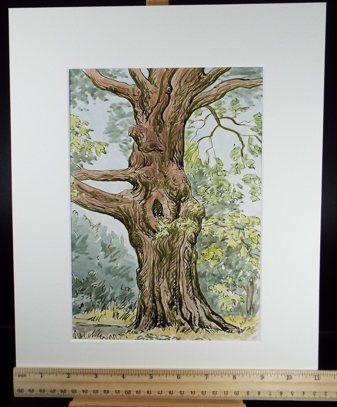 Original Watercolour, 'tree Study', George Godfrey, Dated 1959 - Etsy