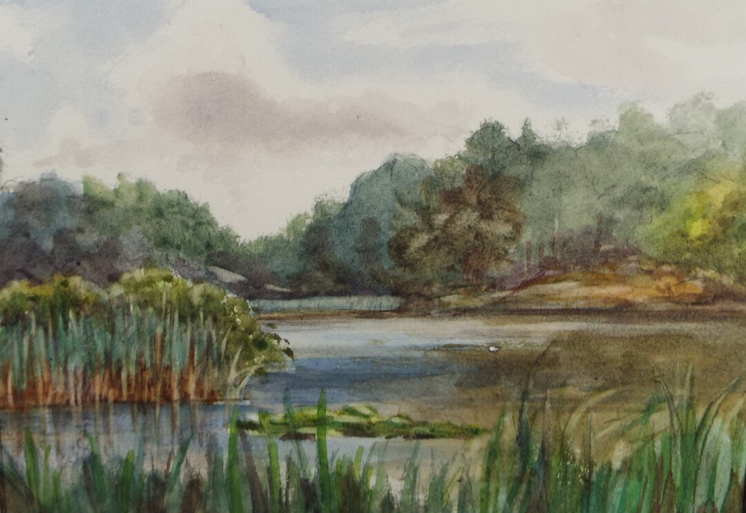 Bull Rushes Drawings Original Watercolour Sketch, 'lake With Bull Rushes' , C1910, Unknown ...
