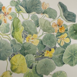 Original Watercolour, 'A Study of Nastertiums', George Godfrey , Circa 1960's