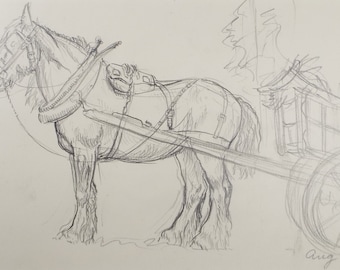 Original Pencil Sketch,'Study of a Heavy horse', Helen Collins (1921-1990), circa 1938/9